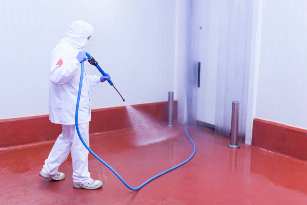 Best Solar Panel Cleaning  in Perry, FL